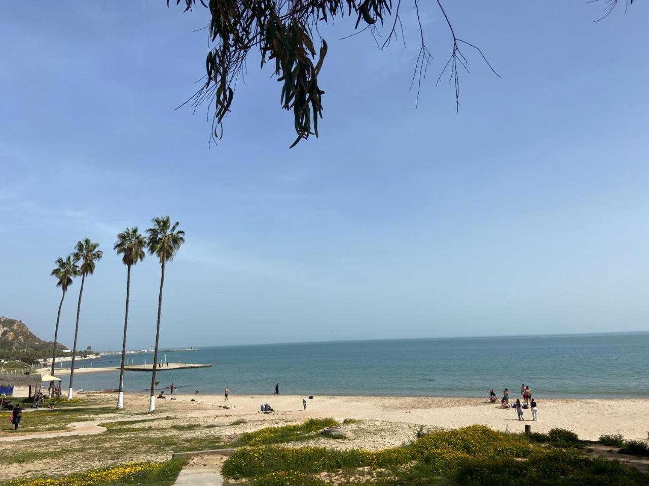 Marsa-Sidi Bousaid Cosy Authentic Apartment La Marsa Luaran gambar